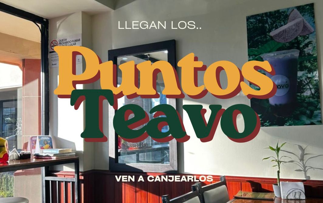 PUNTOS TEAVO